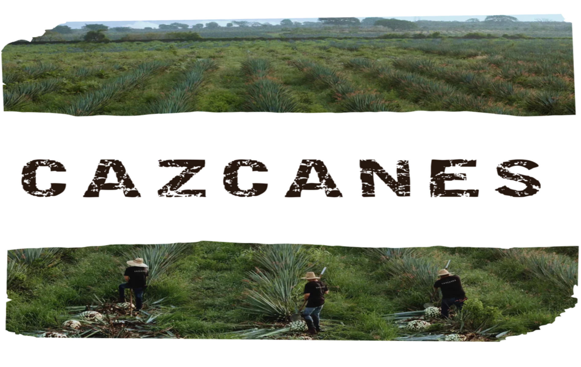 Cazcanes Anejo Jack Daniels Cask Barrel Pick 2025