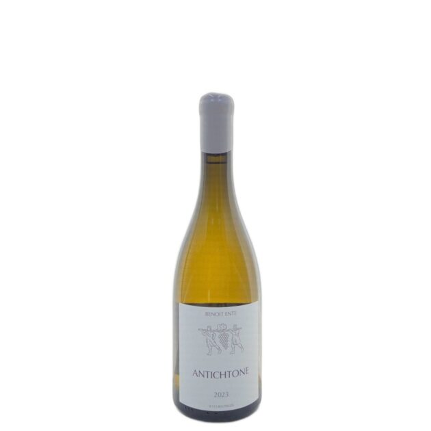 2023 Domaine Ente Benoit Bourgogne Aligoté Antichtone 750ml