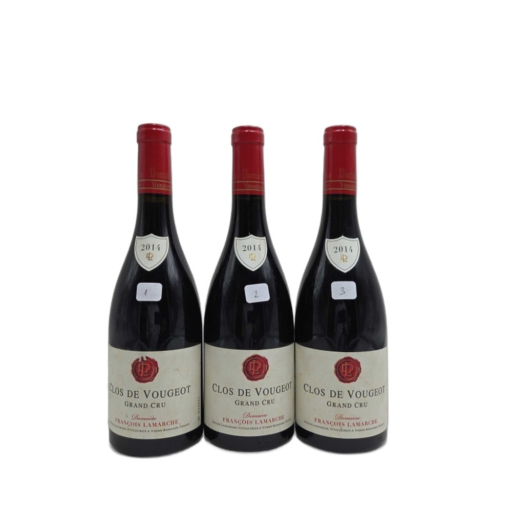 Domaine_Francois_Lamarche_Clos_de_Vougeot_2014_750ml 2014 Domaine François Lamarche Clos de Vougeot 750ml - Image 1