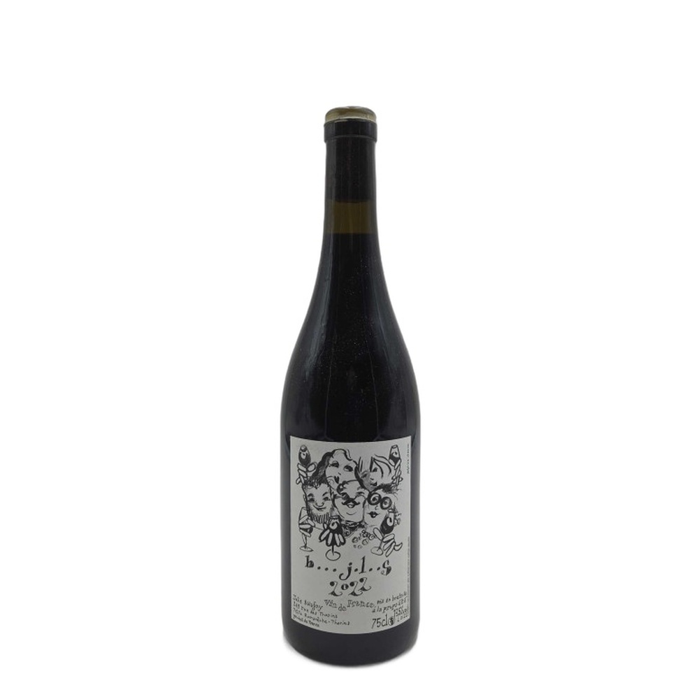 Domaine_Julie_Balagny_Beaujolais_2022_750ml 2022 Domaine Julie Balagny Beaujolais 750ml - Image 1