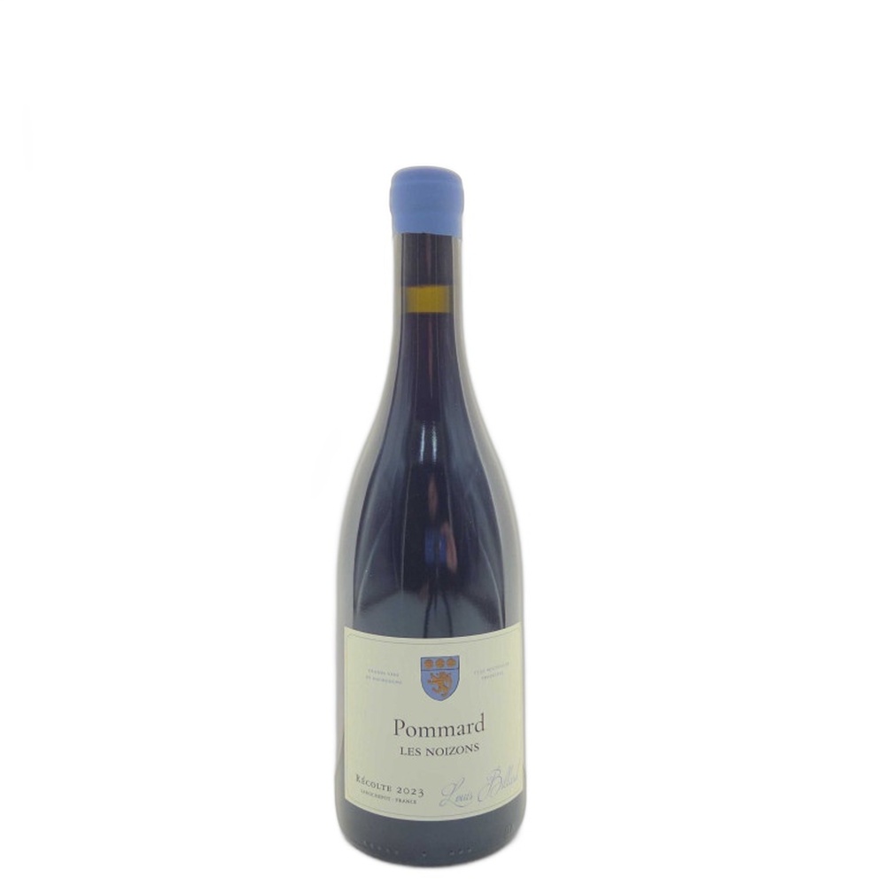 Louis_Billard_Les_Noizons_2023_750ml 2023 Louis Billard Les Noizons 750ml - Image 1