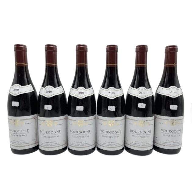 2010 Marc Pinto Bourgogne Pinot Noir 750ml
