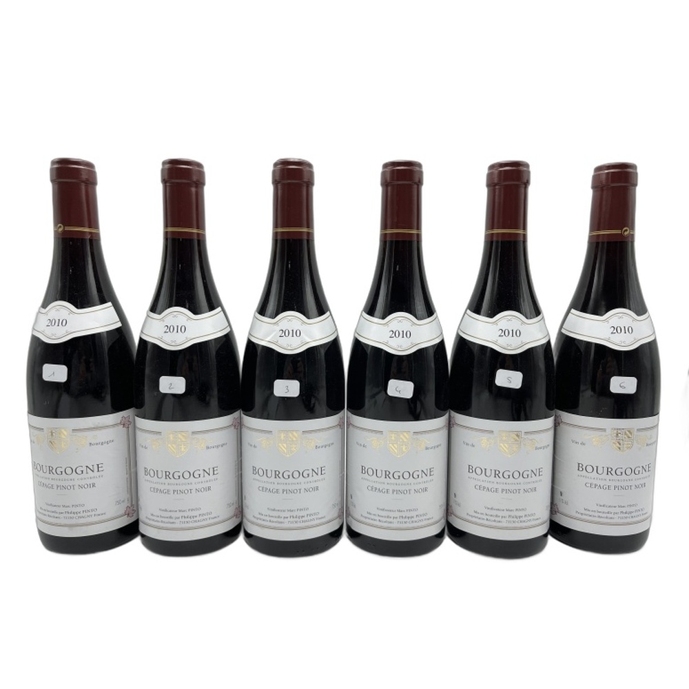 Marc_Pinto_Bourgogne_Pinot_Noir_2010_750ml 2010 Marc Pinto Bourgogne Pinot Noir 750ml - Image 1