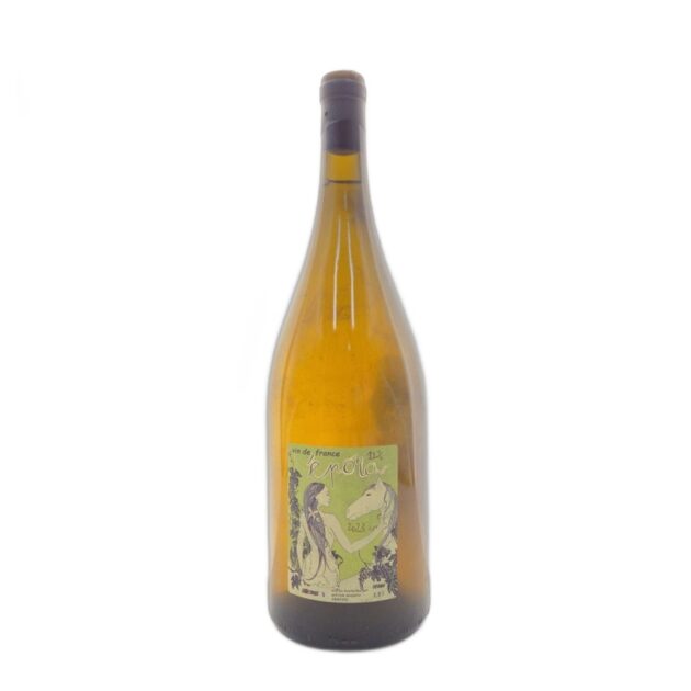 2023 Patrick Desplats Epona 1.5L