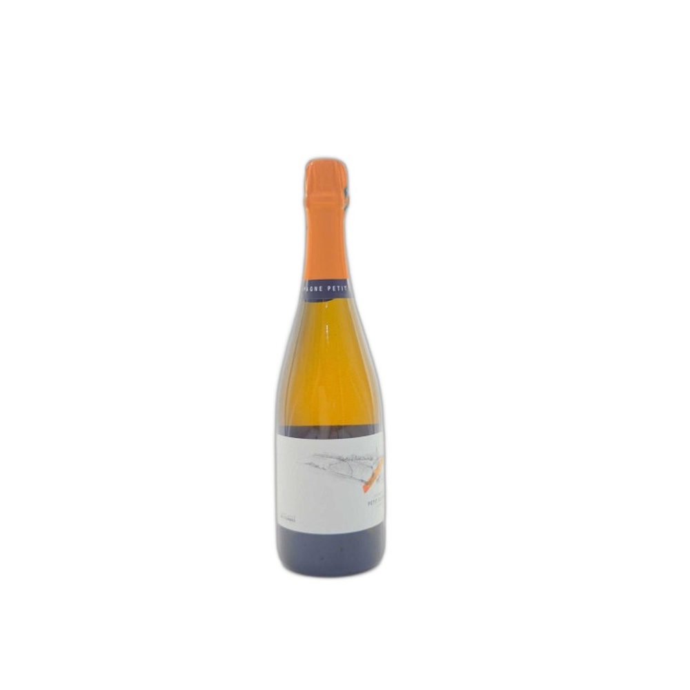 Petit_Clergeot_Les_Commes_Brut_Nature_2022_750ml 2022 Petit Clergeot Les Commes Brut Nature Champagne 750ml - Image 1